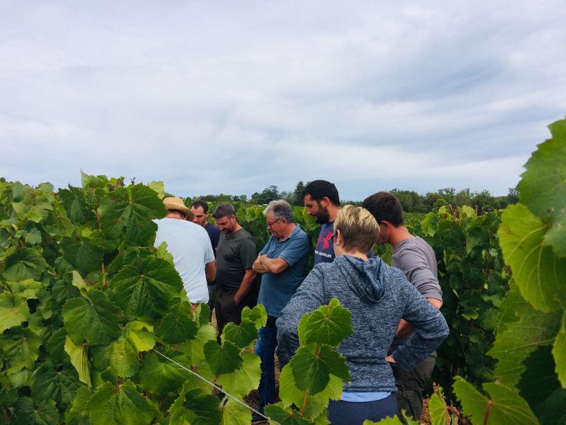 le groupe Phytoprogres de Vinovalie