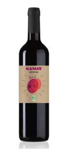 vin Gamay nouveau bio