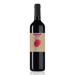 vin Gamay nouveau bio