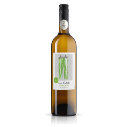 Sans Culotte vin blanc sans sulfites ajoutés BIO