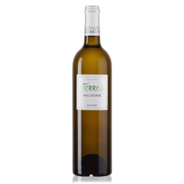 Terreo vin Blanc sec