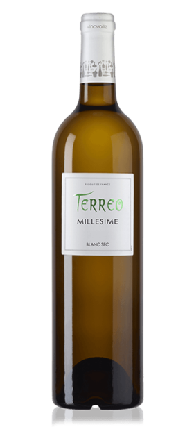Terreo vin Blanc sec