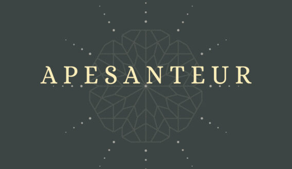 Apesanteur - logo couverture