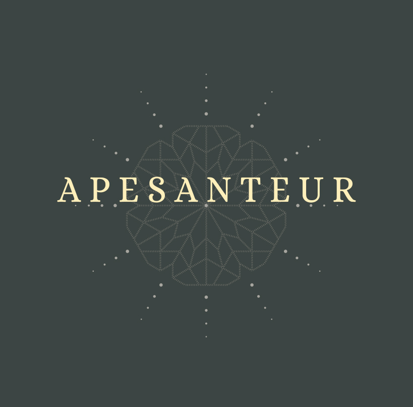 Apesanteur - logo couverture