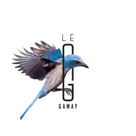 Le G Gamay - logo couverture