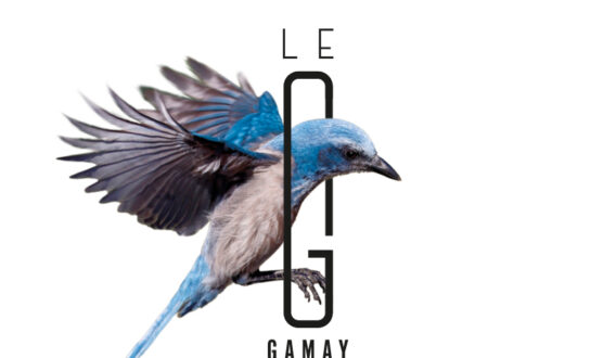 Le G Gamay - logo couverture