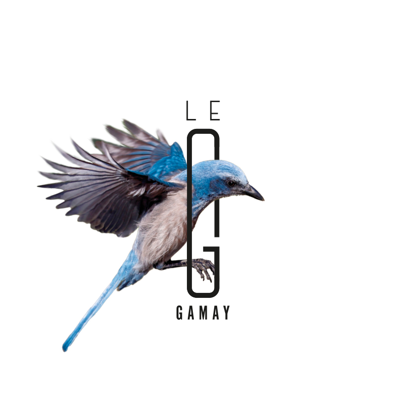 Le G Gamay - logo couverture