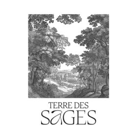 Couverture Terre des Sages