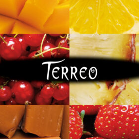 Terreo - logo couverture