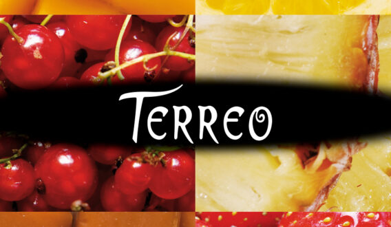 Terreo - logo couverture