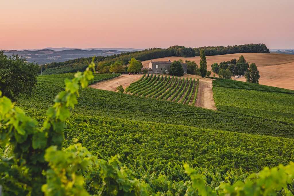 chateau pujols Vinovalie credit Guillaume Robbe