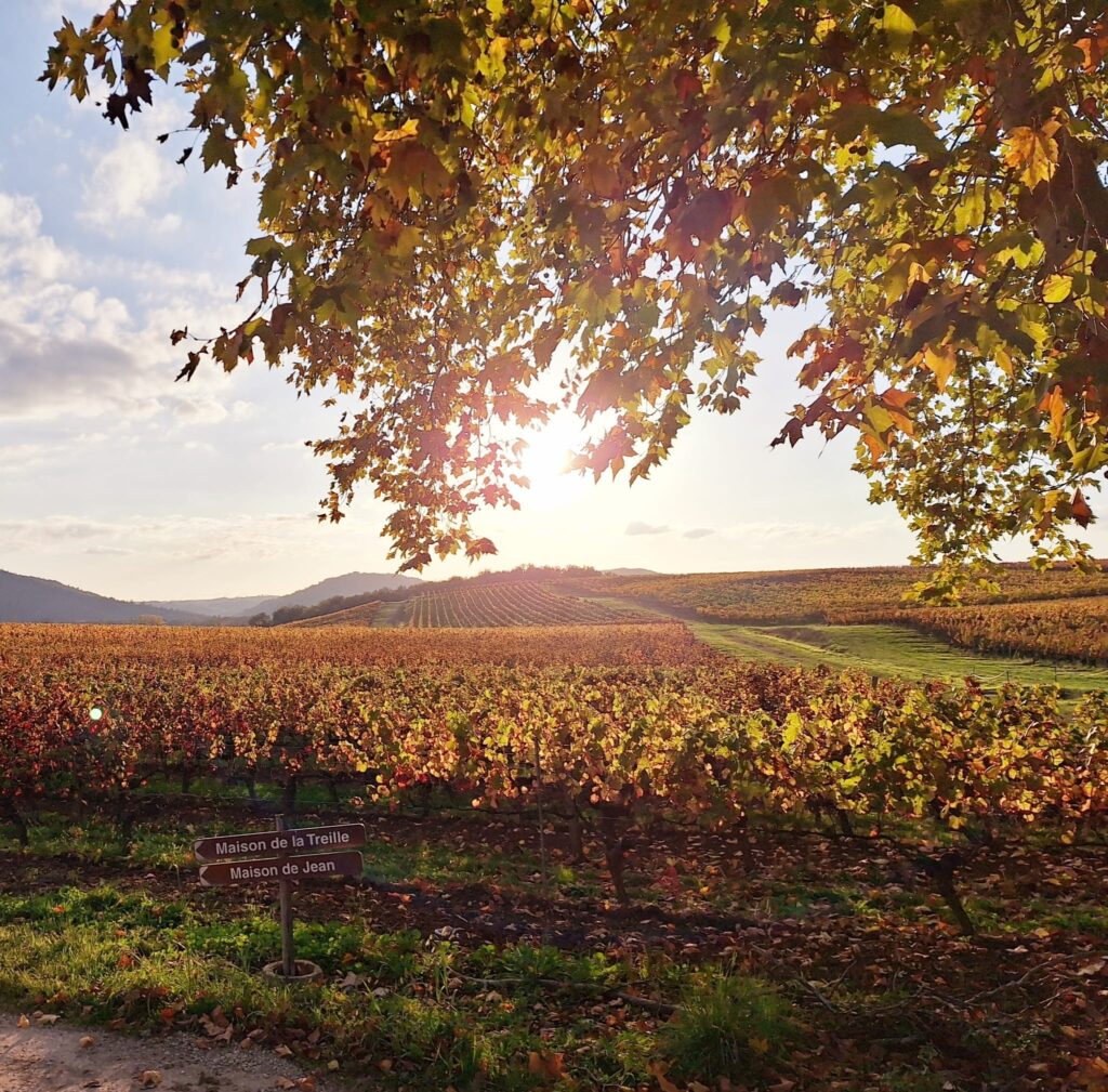 Couleurs d'automne au Château Les Bouysses à Cahors